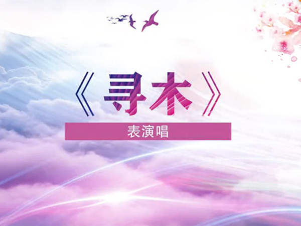 表演唱《寻木》