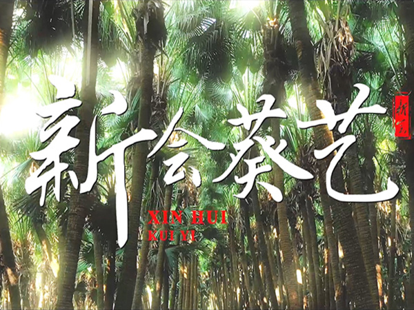 新会非遗印象系列微视频（一）《新会葵艺》